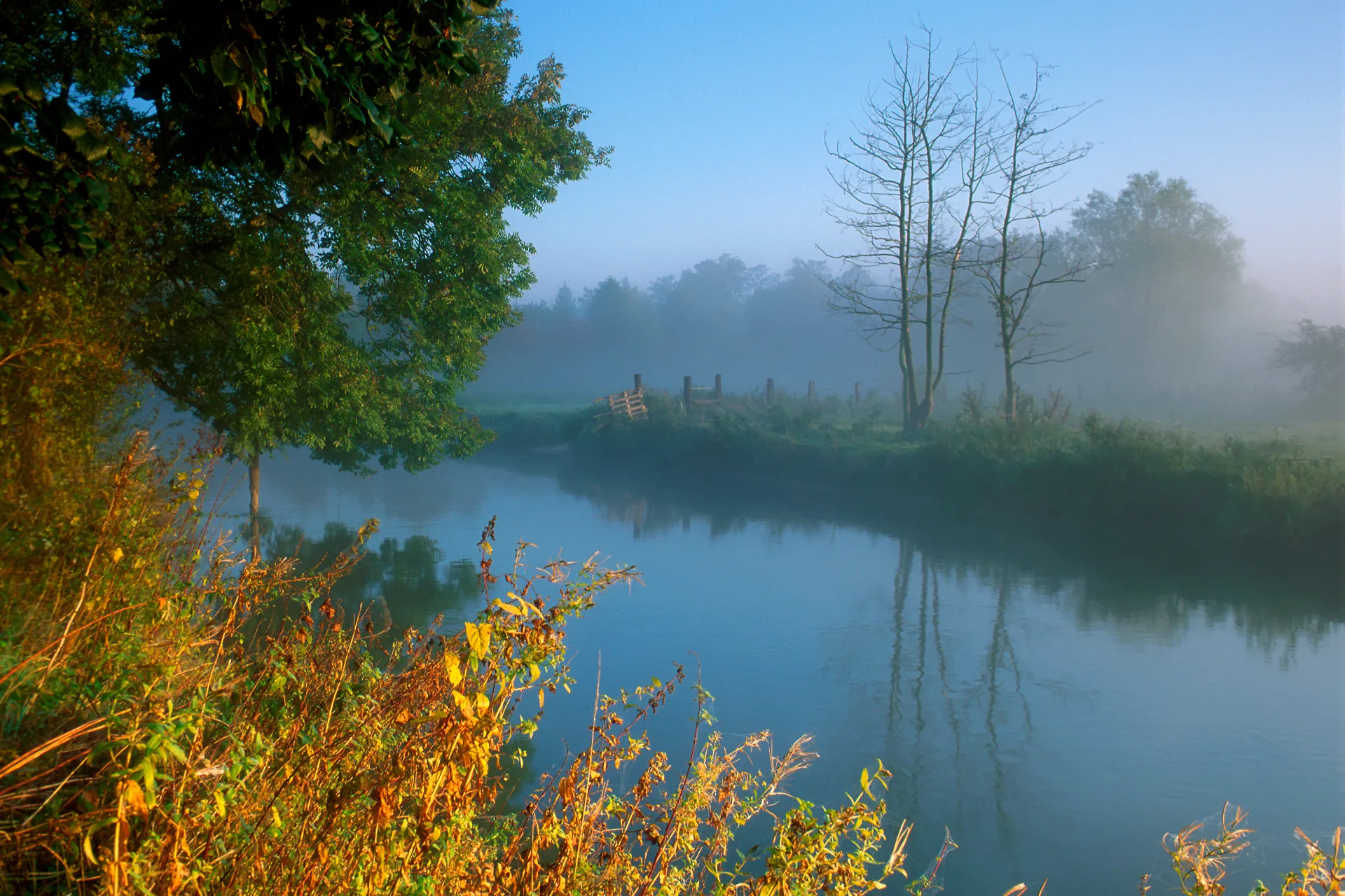 Nebel in der Leine-Aue bei Neustadt mit Gehölzen und Wiesen. Ein Beispiel für Wasserwirtschaft und funktionierenden Hochwasserschutz.