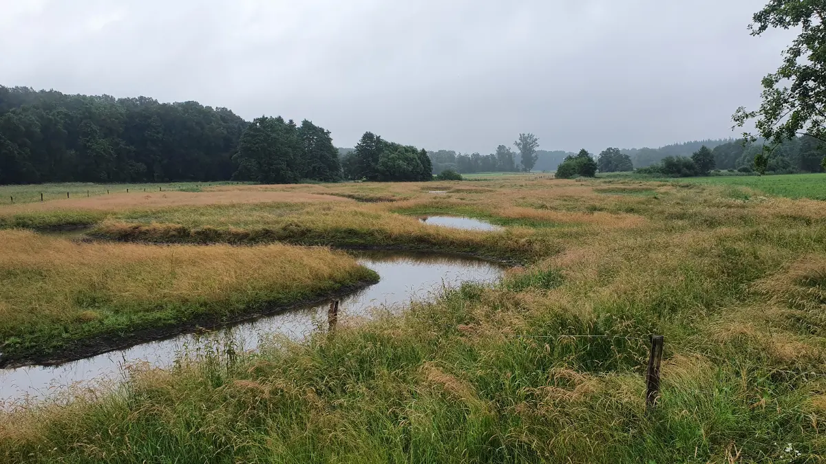 Revitalisierung der Billerbeck durch agwa GmbH