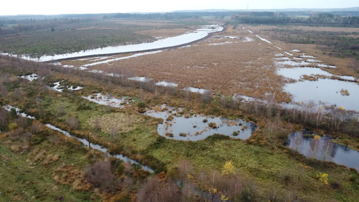 Wiedervernässung Moorpolder 6