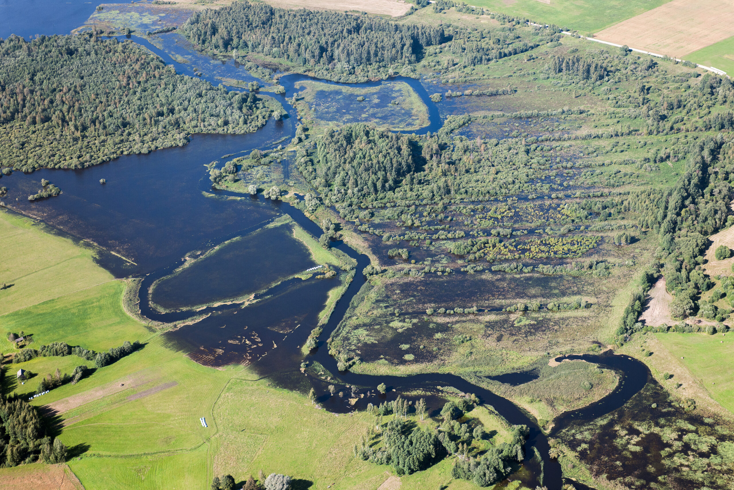 Professionelle Umweltkommunikation und Projektmoderation für komplexe Planungsvorhaben